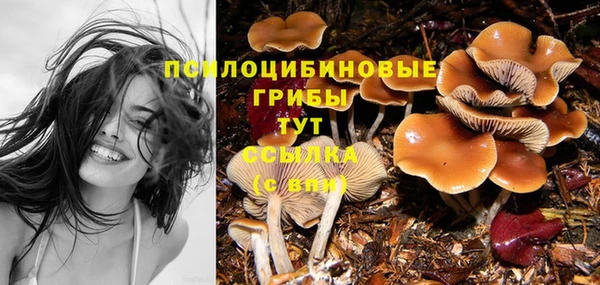 MDMA Белокуриха
