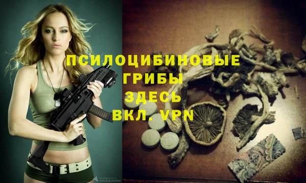 дмт Белоозёрский