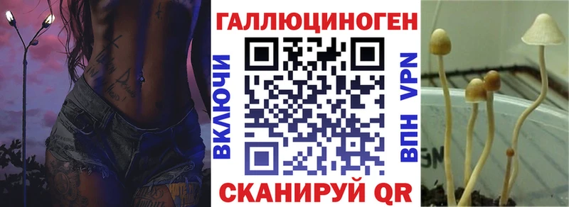 наркошоп  Вытегра  Псилоцибиновые грибы ЛСД 